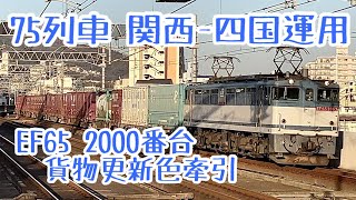 【関西→四国運用】75列車 コンテナ貨物 EF65-2063牽引 【国鉄型】