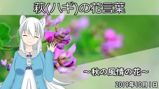 【日刊動画】2019年10月1日 萩(ハギ)の花言葉