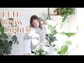 LED Grow Light Bulb | House Plant Light | How To Use Grow Lights With Indoor House Plants