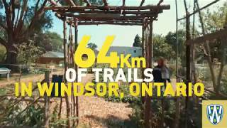 UWindsor International Experience