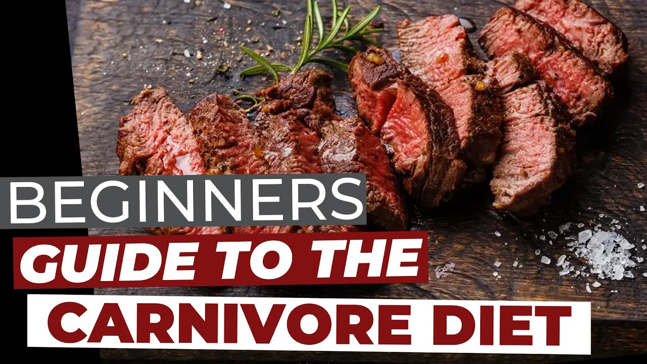 BEGINNERS GUIDE: CARNIVORE DIET 2020 + TIPS TO GET STARTED! - YouTube