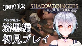 【 FF14 / 漆黒のヴィランズ 】part12 5.0クリアして情緒ぐちゃぐちゃだけど楽しむ！パッチ5.1 生命力の揺らぎ【初見実況】