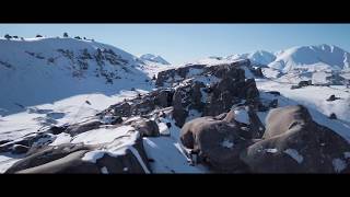 Hunt For The Grey Ghost | South Island Kokako NZ