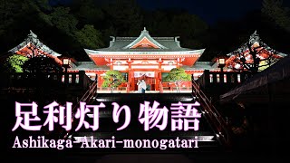 【足利庄】足利灯り物語／【Ashikaga-syo】Ashikaga- Akari-monogatari