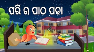 ପରି ର ପାଠ ପଢା || Pari Ra Patha Padha || Odia Birds Stories || Moral Stories || Jungle Toons