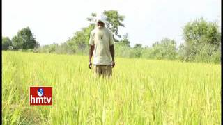 Nela Talli | Natural Farming | Kotapati Murahari Rao | 14-11-15 | Weekend Special | HMTV