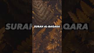 SURAH AL-BAQARA |Ayaat 23+24| Recitation by Mishary Rashid Alafasy | Islam The Heavenly Path
