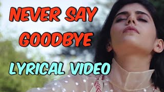 Never Say Goodbye Music Video Lyrics | Sushant Singh Rajput | Never Say Goodbye | Lyrics By Shaikh