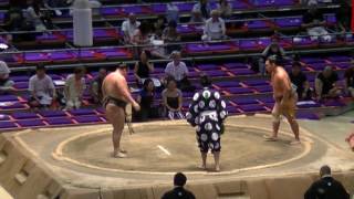 大相撲.2016.7.20㊷/桜児竜(okoryu)-希帆ノ海(kihonoumi)/nagoya Basho/day 11 #sumo