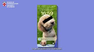 Setting Up MFA with SMS