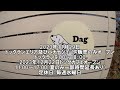 11月29日「dag」ドッグラン・ドッグカフェがオープン！内覧会では愛がいっぱい溢れていました