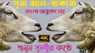 সূরা আল - বাকারা || আল কোরআন || আয়াত (১-৪৯) শুনুন সুমধুর কণ্ঠে |