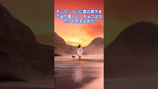 愛犬と不思議な体験78「彩雲」#shorts  #恐怖 #怖い話  #犬のいる生活