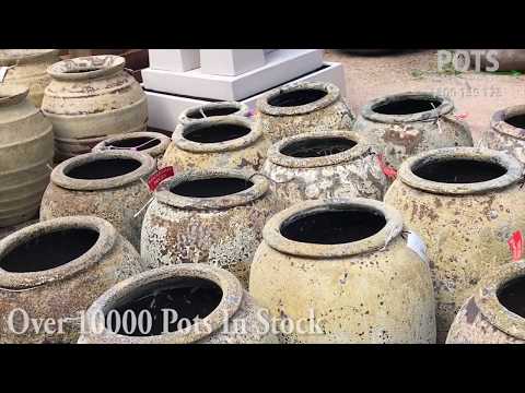 Pots Wholesale Direct Featured Pots Pots Wholesale Direct Featured Pots