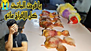 الزعيم وكميرا للبيع 🥺يومين عفت الطيور صارت كارثه 😭