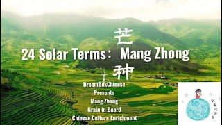 7-year-old Chinese American learning 24 Solar Term Class【Mang Zhong】美国华人学生 24节气中文课 芒种篇 中国文化系列