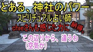 天照大神と豊受大神を祀る神社、都内のパワースポットへ行ってきた（ちょっと不思議体験も）