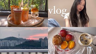 [vlog] 야장의 계절 🍃 (팔백집, 피치, 그랑핸드, 동래집, 애플망고, 라프레플루트, 오봉집, 뚝섬한강공원, 토달볶, 그릭데이, 육쌈냉면, 삼겹살, 치맥, 횟집)