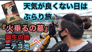 小説『火垂るの墓』誕生の地であるニテコ池を紹介　ランニングコースにもなっていて　一周1.1キロとトレーニングにはちょうど良い　インスタ映えやネタになる　そんなスポットです！