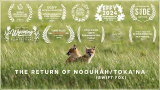 The Return of Nóouhàh-Toka’na (Swift Fox)