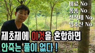 제초제에 [    ]을 혼합하면 안죽는 풀이 없습니다. 퐁퐁,비료,빙초산 아닙니다~~ 영상으로 확인하시죠^^