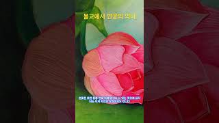 #불교에서 연꽃의 의미 #부처님의가르침 #불교의 영적상징