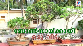 കുഞ്ഞന്‍ മരങ്ങളുടെ ലോകം; കൗതുകമായി സുലൈമാന്‍റെ ബോണ്‍സായ് കൃഷി