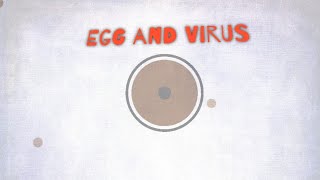 Cell Lab: A simple egg and a Spiral virus