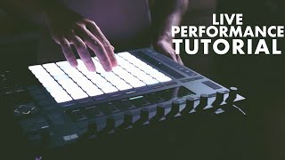Max Wild Push 2 Performance Walkthrough