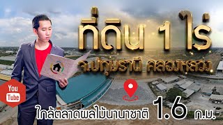 พาชมที่ดินเจริญแล้ว 1ไร่ จ.ปทุมธานี อ.คลองหลวง 1.6 ก.ม ใกล้ตลาดผลไม้นานาชาติ EP.26-1