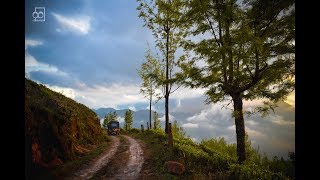 കോട  മഞ്ഞിലെ  മൂന്നാർ യാത്ര  | Munnar the most beautiful place in india | amazing munnar