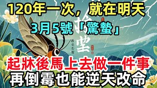 120年一次，就在明天！3月5號「驚蟄」，起牀後馬上去做一件事，再倒霉也能逆天改命！#生肖運勢#命理#風水#十二生肖#禅心语录#佛教