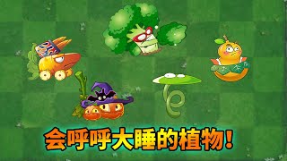 pvz2：盤點那些會睡覺的植物！