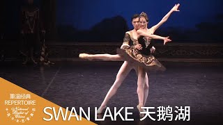 Excerpts from Swan Lake | National Ballet of China