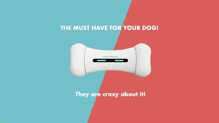 WickedBone - The Premium Smart & Interactive Dog Toy