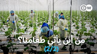 وثائقي | أسرار منظومة الغذاء العالمية (الجزء الثاني) | وثائقية دي دبليو
