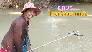 ยกยอได้ปลาจนไม่อยากกลับบ้าน#fishing#ยกยอ