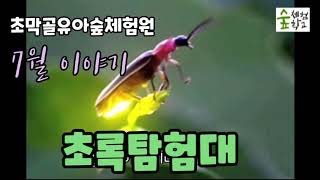 초막골유아숲체험원의 7월 이야기