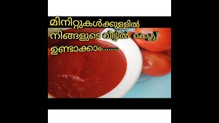 മിനിറ്റുകൾക്കുള്ളിൽ നിങ്ങളുടെ വീട്ടിൽ ഉണ്ടാക്കാം]Make easy tomato ketchup in your home #short