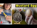 Do CHICKENS HATE MUSTARD? | THE TRUTH About How I Stopped Them From Eating Eggs