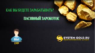 Видеоинфографика для System-Gold.ru