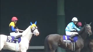 ヴィクトリアマイル　輪乗り　2022年5月15日（日）東京競馬場