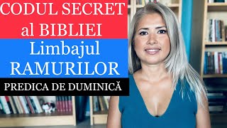 CODUL SECRET AL BIBLIEI | LIMBAJUL RAMURILOR 🌳