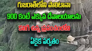 గుజరాత్‌లోని పాలిటానా 900 కంటే ఎక్కువ దేవాలయాలను కలిగి ఉన్న ప్రపంచంలోని ఏకైక పర్వతం | Bhakthi 9