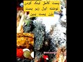 آموزش این کوکو خوشمزه اقتصادی لینک گذاشتم ببین ممنون🥰😋🙏