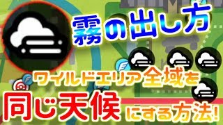 【ポケモン剣盾】霧が出ない人必見！ワイルドエリア全体の天気を同じ天候に変える方法!【ポケットモンスター ソード・シールド】