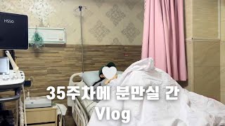 임신 Vlog | 출산전 마지막 브이로그 .. | 양수검사 받았어요 🥲