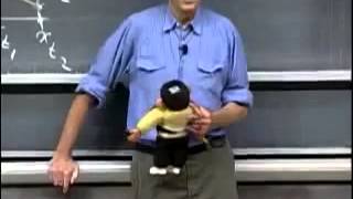 Classical Mechanics, Projectiles, Expt 2, Final Demonstration Monkey and Bullet