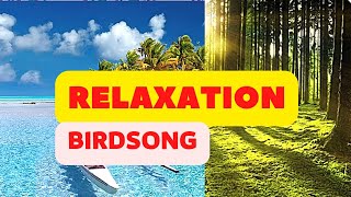 Relaxation : Nature Sounds, Singing Birds Ambience