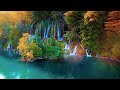 enchanting autumn forests with beautiful piano music🍂4k autumn ambience u0026 fall foliage🍂4k video uhd